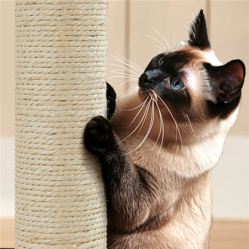 53.9" H Cat Tree with Double Condos, Scratching Posts & Ramp, Black