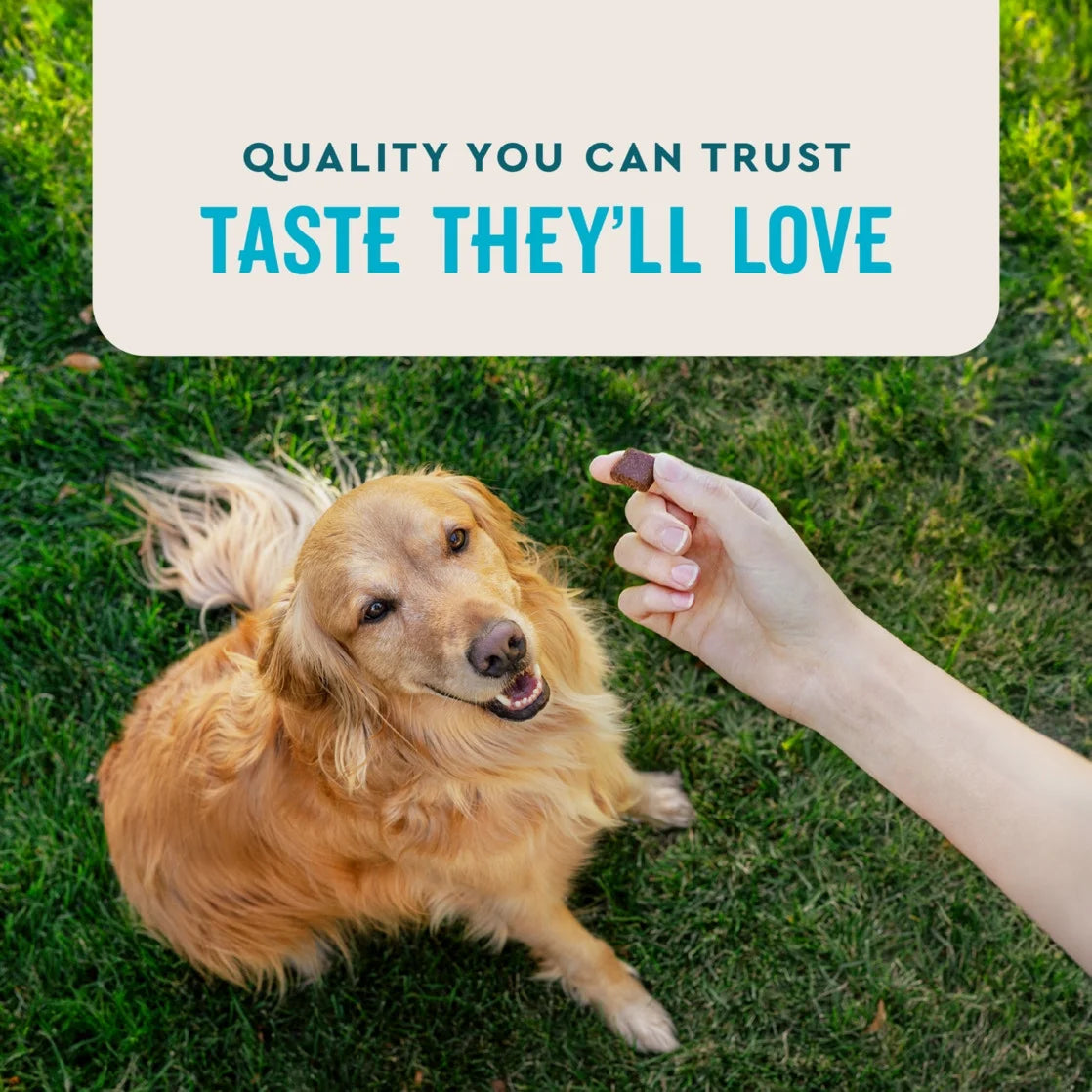 (3 Pack) Hip & Joint Supplement for Dogs, Chicken Flavored Soft Chews, 60 Count Soft Chews