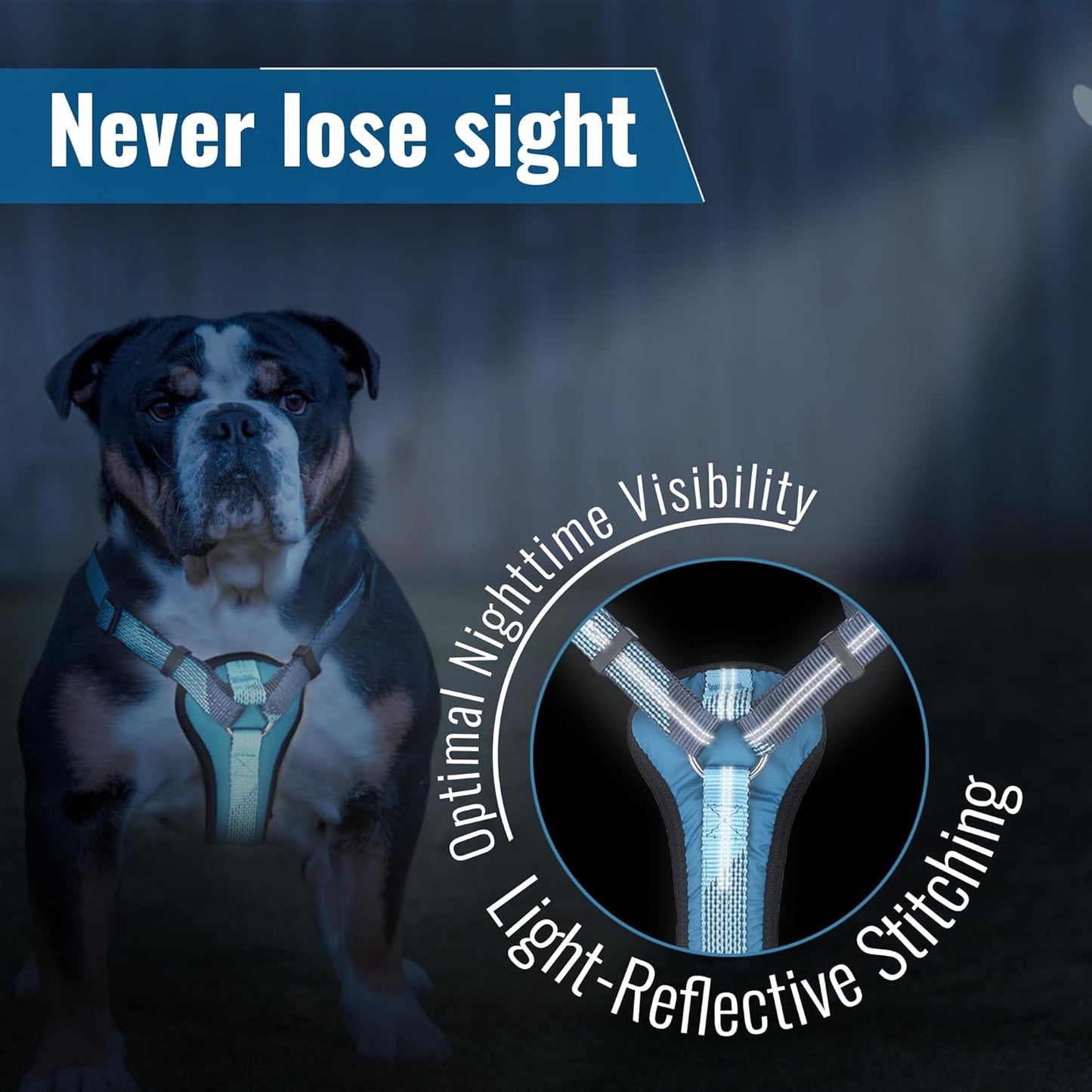 No-Pull Dog Harness with Handle - Escape Proof, Anti-Pulling, Grip Control, Multi-Angle Reflective for Safe Walks & Training, Easy on & Off, Metal Buckle–Pet Harness, Medium/Large Dogs- M- Black