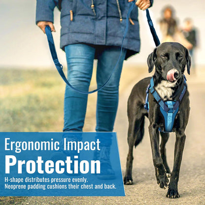 No-Pull Dog Harness with Handle - Escape Proof, Anti-Pulling, Grip Control, Multi-Angle Reflective for Safe Walks & Training, Easy on & Off, Metal Buckle–Pet Harness, Medium/Large Dogs- M- Black