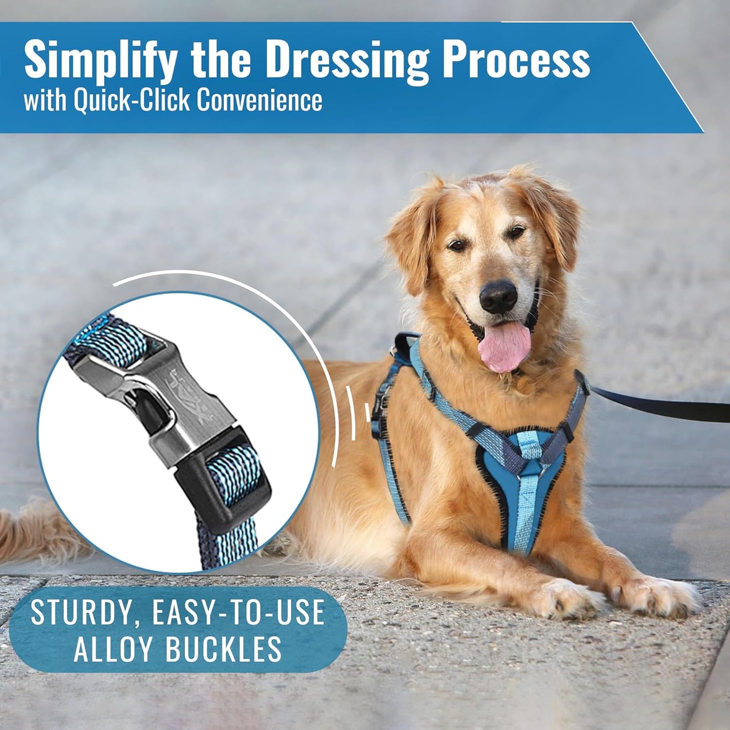 No-Pull Dog Harness with Handle - Escape Proof, Anti-Pulling, Grip Control, Multi-Angle Reflective for Safe Walks & Training, Easy on & Off, Metal Buckle–Pet Harness, Medium/Large Dogs- M- Black