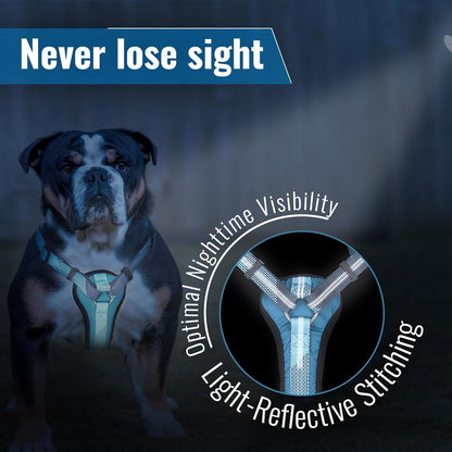 No-Pull Dog Harness with Handle - Escape Proof, Anti-Pulling, Grip Control, Multi-Angle Reflective for Safe Walks & Training, Easy on & Off, Metal Buckle–Pet Harness, Medium/Large Dogs- M- Black